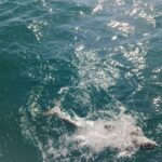 Fishing Trip