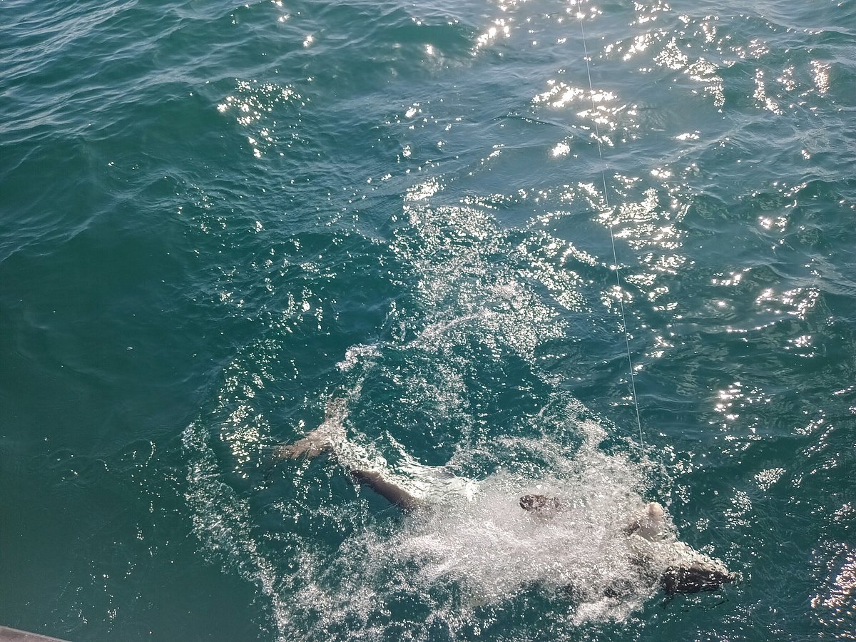 Fishing Trip