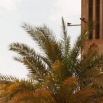 Heritage And Cultural Tour (4)