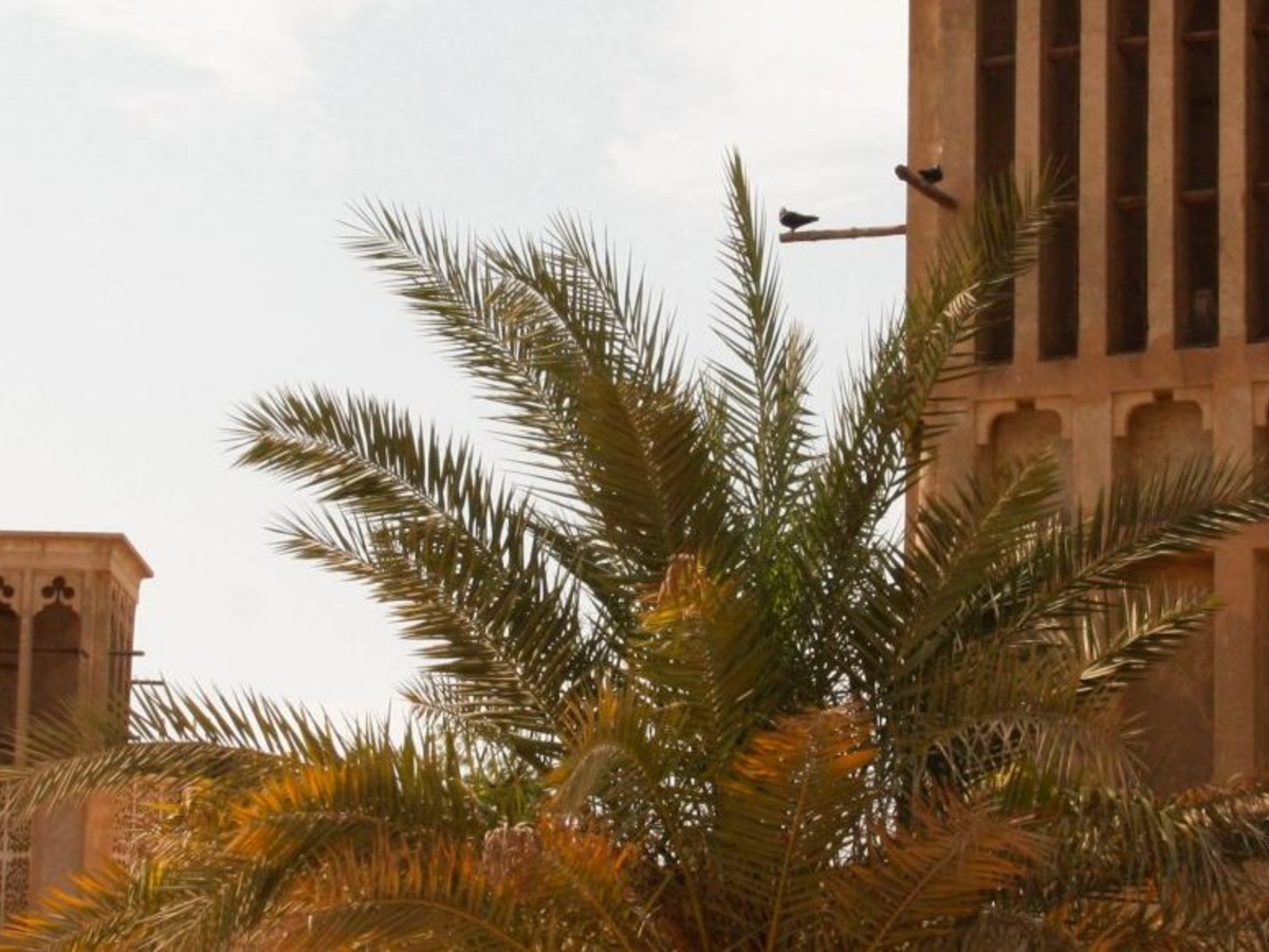 Heritage And Cultural Tour (4)