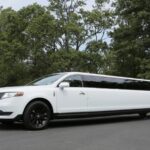 Limousines Rides Tour (2)