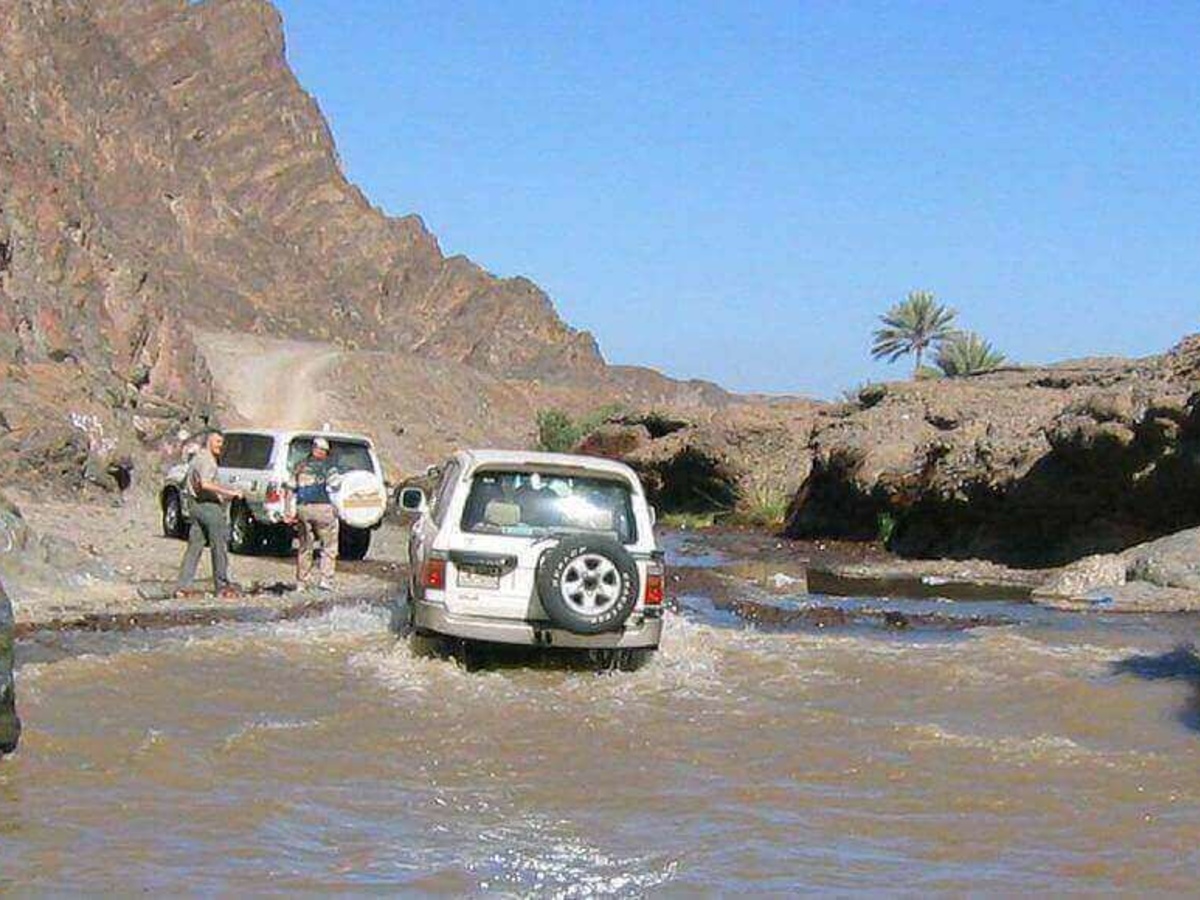 Mountain Safari (3)