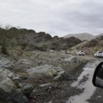Mountain Safari (5)