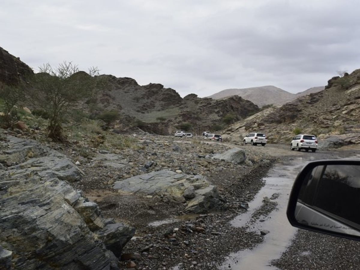 Mountain Safari (5)
