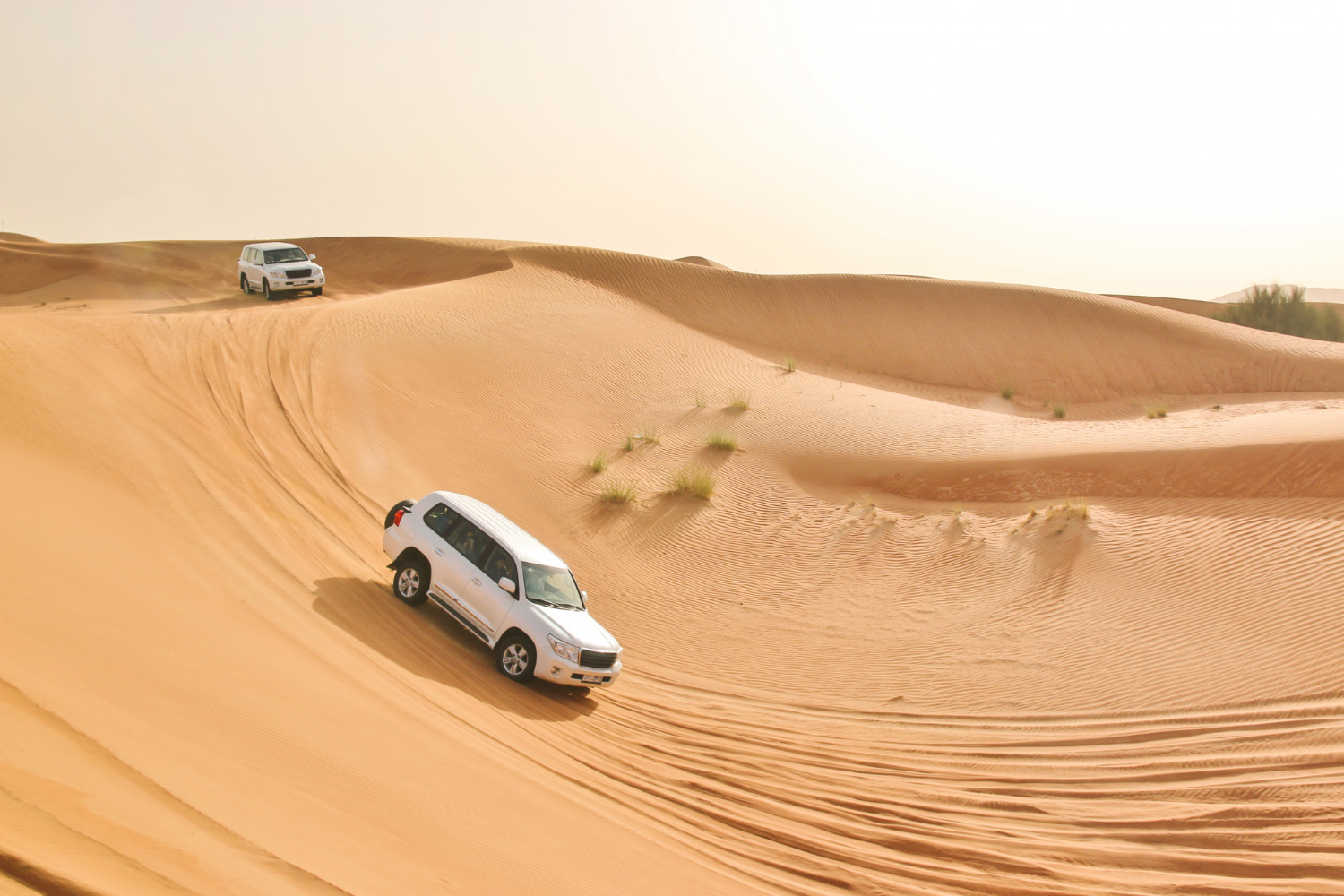 Private 4X4 Dessert Adventures Safari In Golden Sand(FULL CAR)