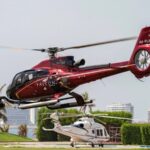 Helicopter Palm Tour 3