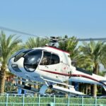 Helicopter Palm Tour 4