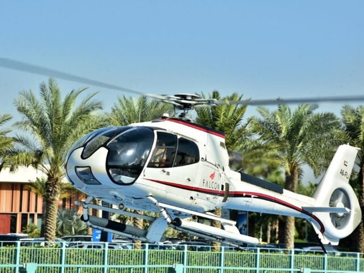 Helicopter Palm Tour 4