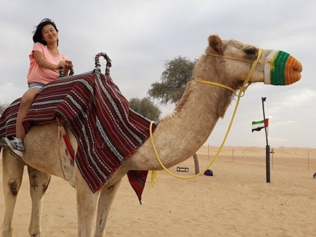 morning-dubai-desert-safari-camel-rides-4